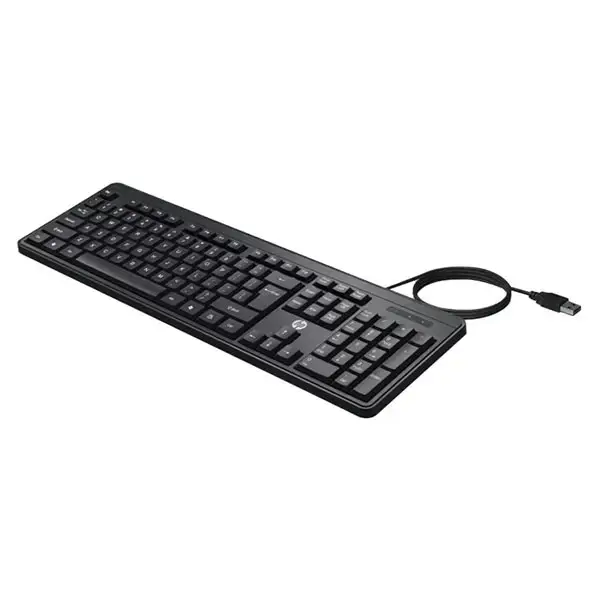 HP K100 Wired Keyboard (7J4G1AA)