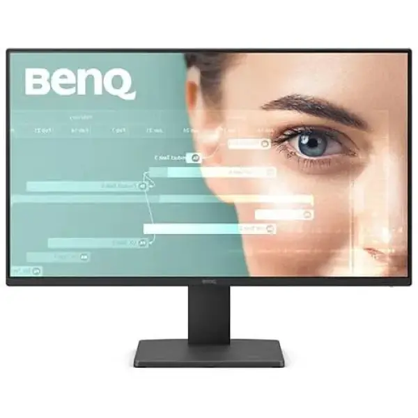 BenQ GW2491 24 Inch FHD IPS Monitor (GW2491)