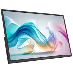 MSI Pro MP165 E6 Portable 15.6 Inch 1920 x 1080 Full HD Monitor Black