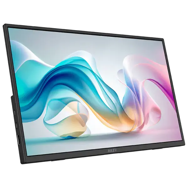 MSI Pro MP165 E6 Portable 15.6 Inch 1920 x 1080 Full HD Monitor Black