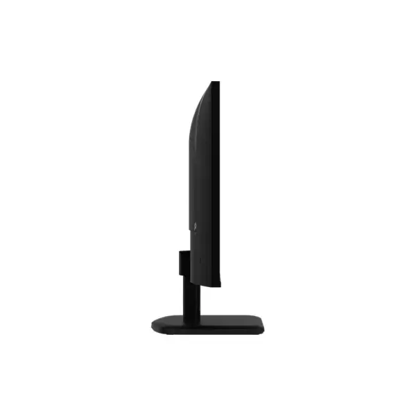 MSI Pro MP251L E2 25 Inch 120Hz FHD Business Productivity Monitor (PRO MP251L E2)