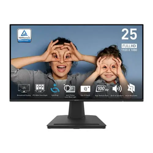 MSI Pro MP252 25 Inch FHD IPS Panel 100Hz Business Monitor (PRO-MP252)