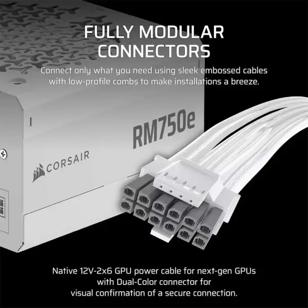 Corsair RM750E ATX 3.1 750 Watt Fully Modular Low Noise ATX Power Supply White (CP-9020292-IN)