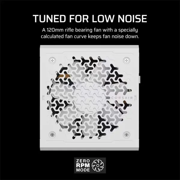 Corsair RM750E ATX 3.1 750 Watt Fully Modular Low Noise ATX Power Supply White (CP-9020292-IN)
