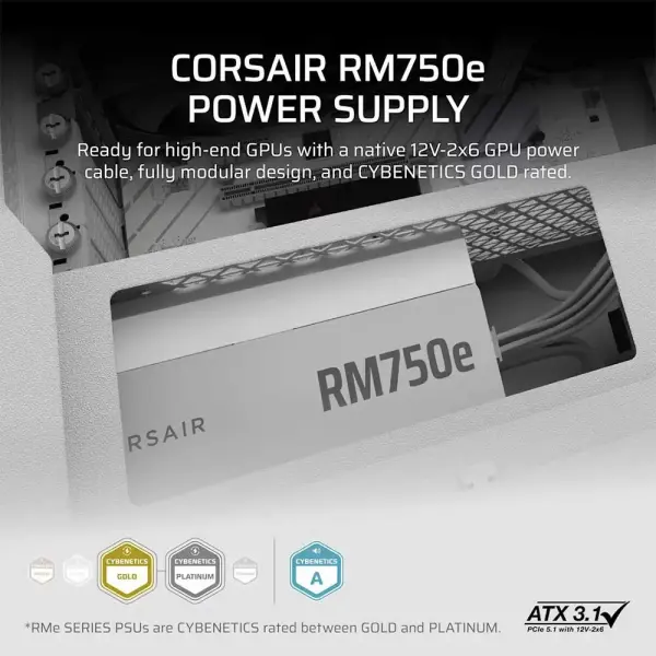Corsair RM750E ATX 3.1 750 Watt Fully Modular Low Noise ATX Power Supply White (CP-9020292-IN)